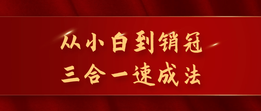 从小白到销冠三合一速成法-流星社区