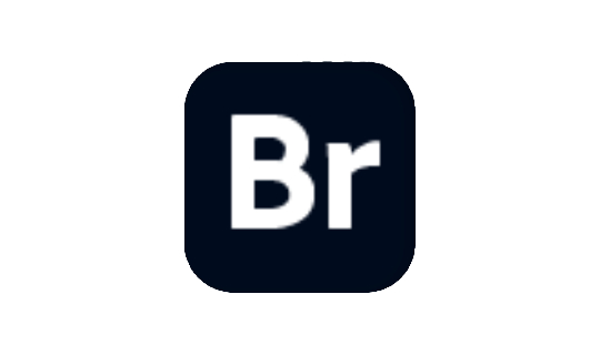 Adobe Bridge 2025 v15.0.0.397-流星社区