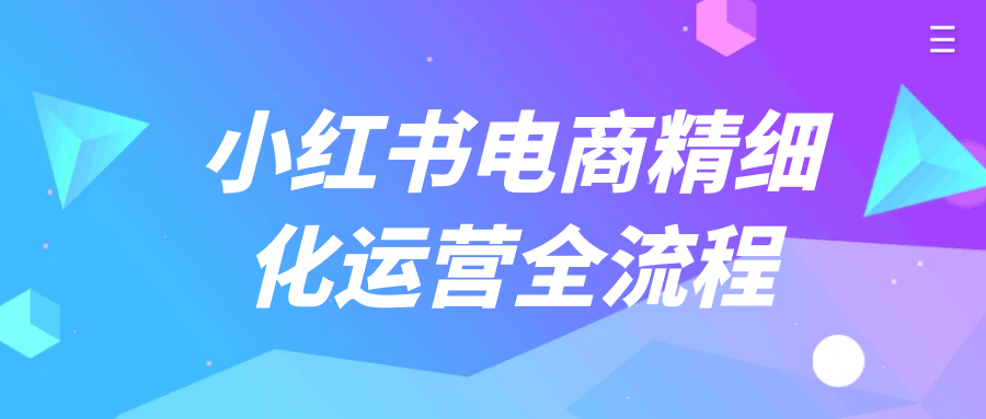 小红书电商精细化运营全流程-流星社区